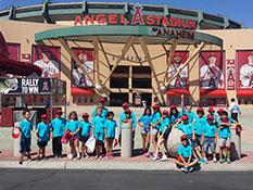 Image of ANGELS BASEBALL