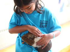 Image of ZOOMARS PETTING ZOO